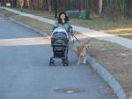 Nancy takes Brady (on the leash) and Lucas (in the stroller) for a walk