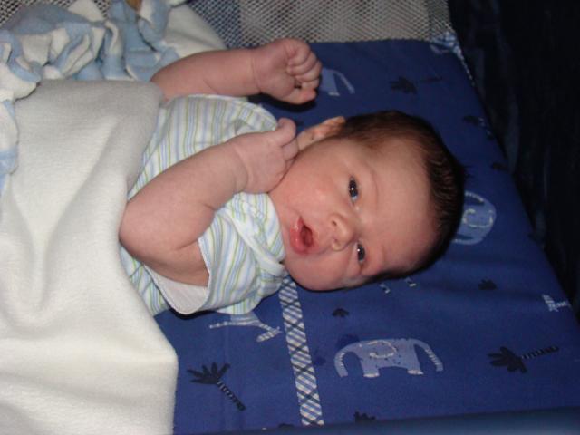1 week old