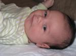 6 weeks old