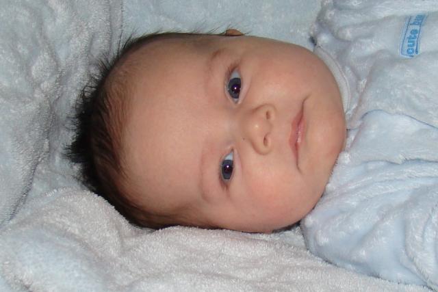 10 weeks old