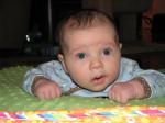 3 months old!